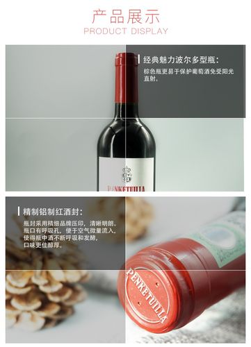 奔富凯帝庄贵宾v579干红葡萄酒