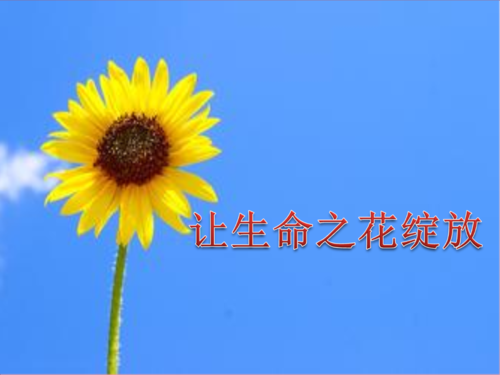 3.1让生命之花绽放.ppt