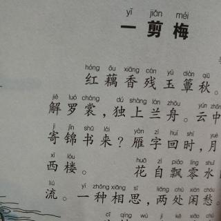 一剪梅李清照
