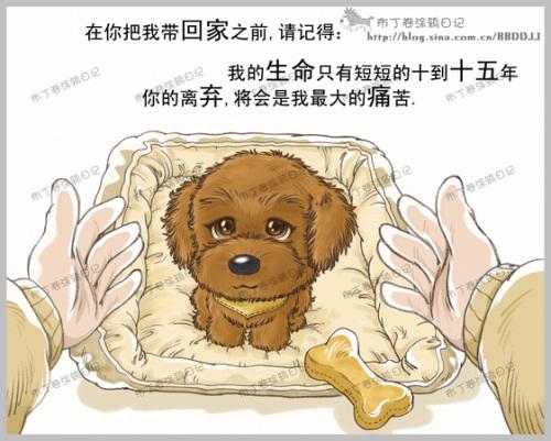 狗狗的一辈子,看到最后一个图我哭了