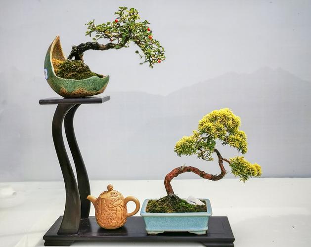 中国通派盆景艺术展