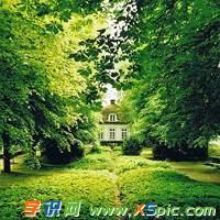 最美微信头像图片精选_2017最新微信头像大全_微信头像小清新唯美