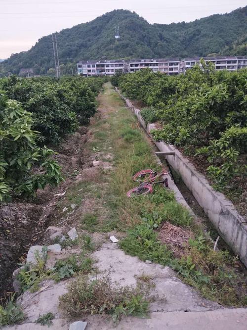 临海市沿江镇浦东村机耕路道路硬化工程申报资料