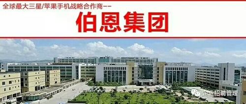 其它 高价招聘《伯恩光学》 写美篇  惠州伯恩光学小时工20元/小时