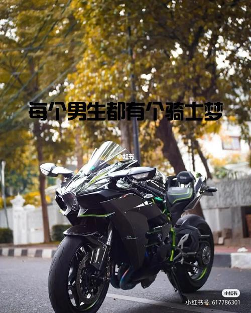 川崎h2_川崎怎么样_汽车_摩托车