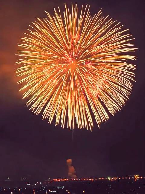 转走这个绮丽的烟花2022年一定好运连连