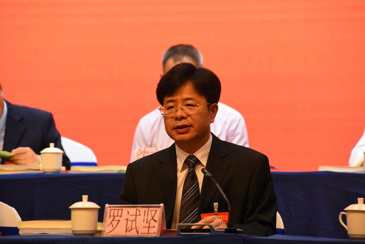 罗试坚讲话_副本.jpg