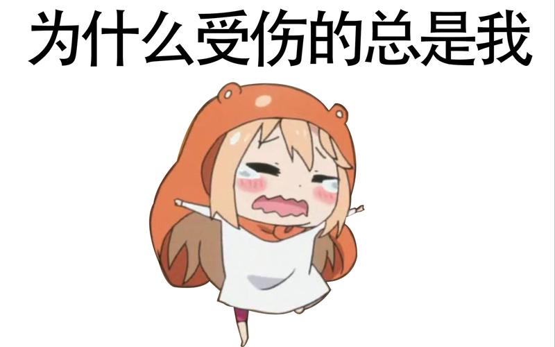 仓鼠王为什么受伤的总是我