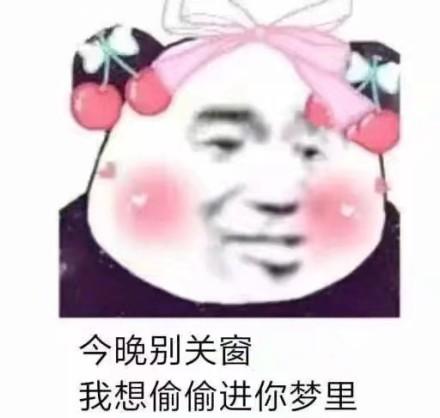 今晚别关窗,我想偷偷进你梦里_我想_关窗_梦里_偷偷_今晚表情