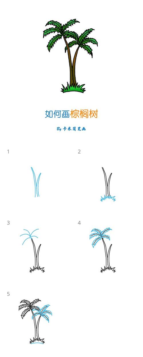 如何画棕榈树 - 简单的棕榈树简笔画教程