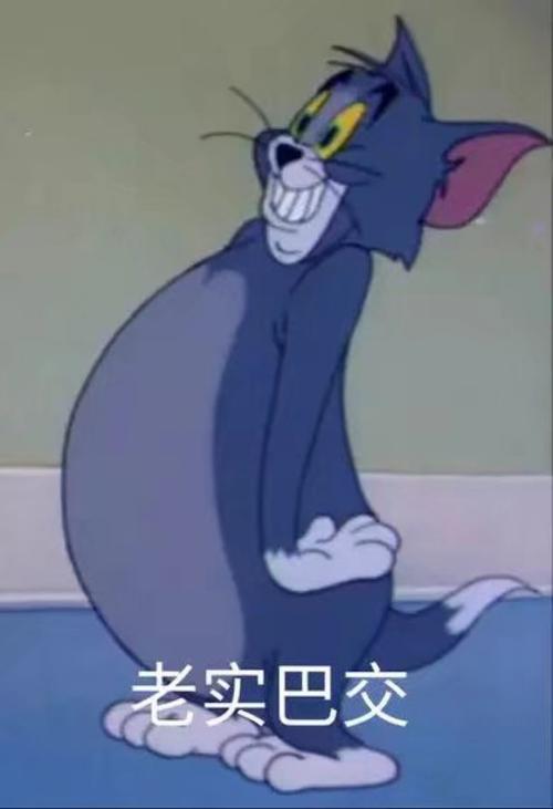 猫和老鼠表情包汤姆老实巴交