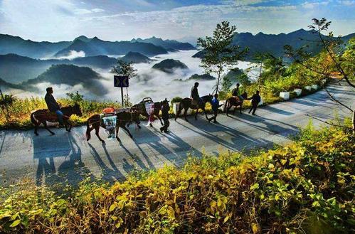 青川县双河村(图片来源:四川古镇古村落数字博物馆)