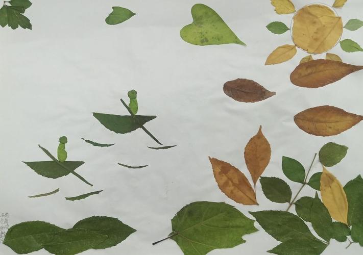 我们与秋天的约会——六年级的树叶画