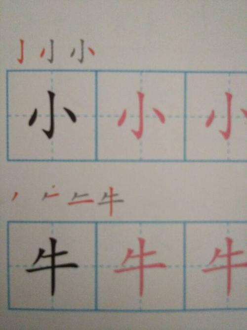 "小"字在田字格里面怎么占格.