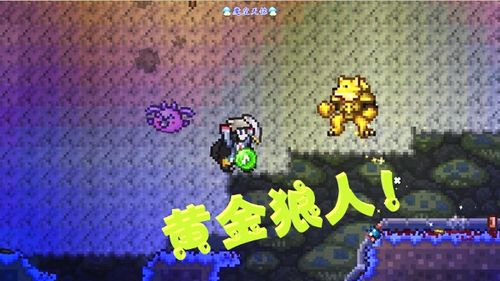 天铭泰拉瑞亚女巫与真实mod06不稳定的地下世界