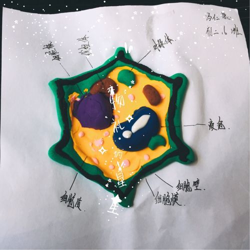 快来找找你们的diy生物模型吧