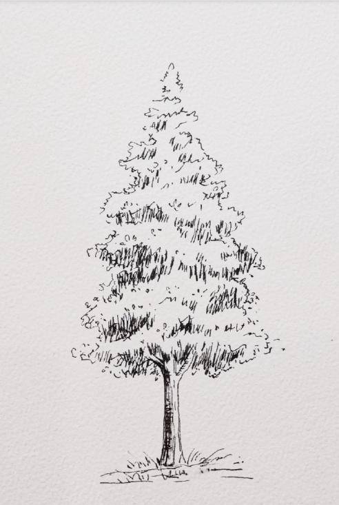 钢笔线稿手绘,不同的树的画法,拿去学习吧