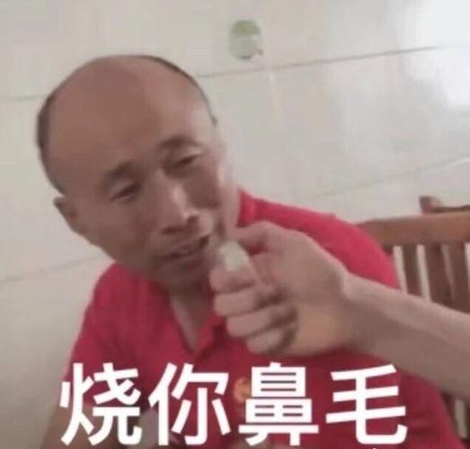 社会人专用土味表情包成功拉近我了与女神的距离