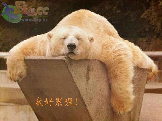 自我激励 我好累喔!