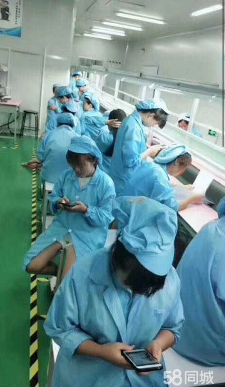 电子厂招聘男女普工