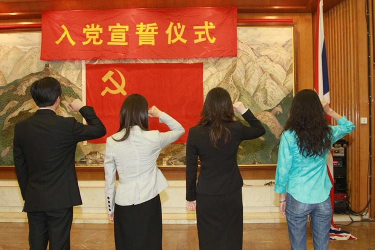 入党宣誓举哪个手