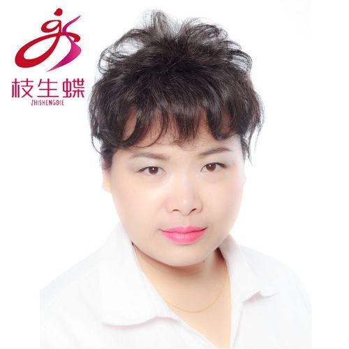 卷发片 真人发丝 卷发片 短卷发 女 头顶补发块真发发块 枝生蝶假发块