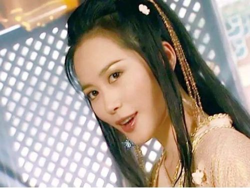 那几年,俞飞鸿拍了很多古装戏,《小李飞刀》中的"惊鸿仙子"杨艳