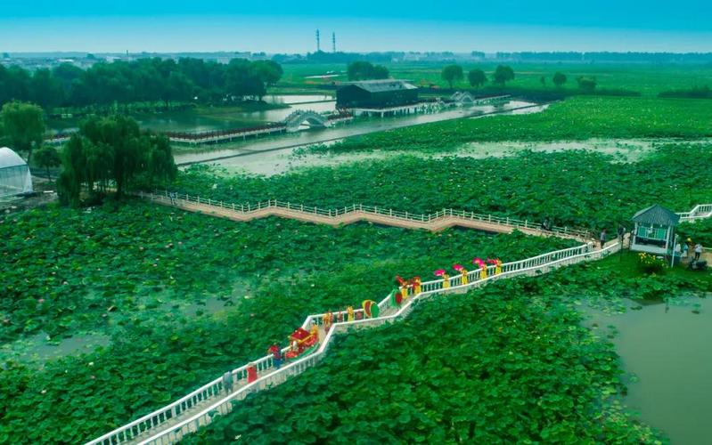 征集光影湖畔美红色射阳湖全国摄影作品展