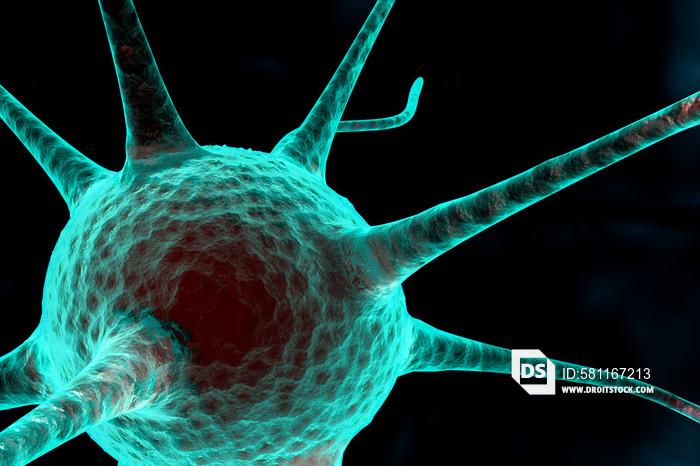 3d nerve cell