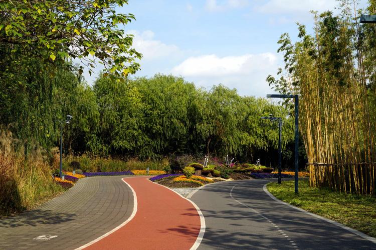 后滩公园的秋景