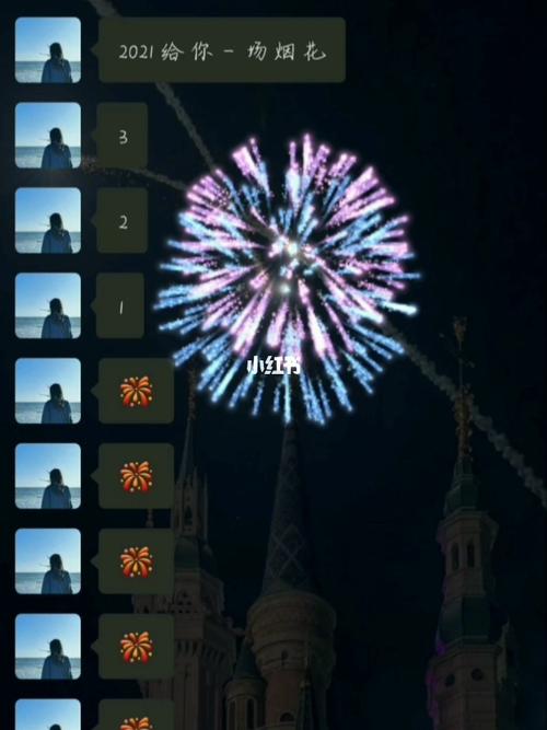 2021的第一场烟花067815_烟花_表情包