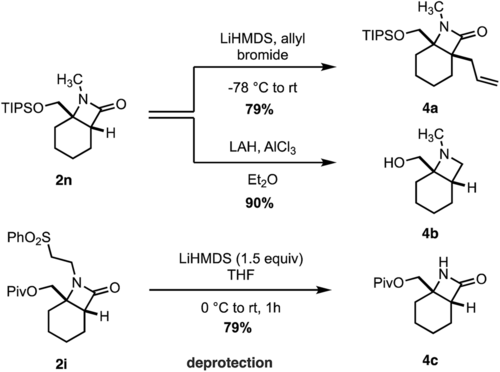 scheme   transformation of -lactam products.