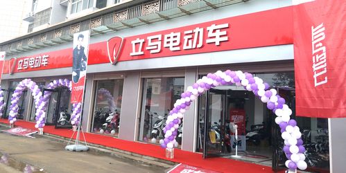 立马电动车又一家专卖店开业啦,方圆1500多公里内最大