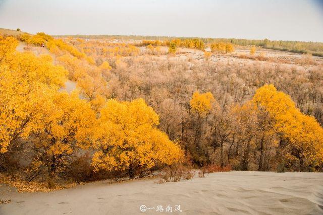 和田胡杨林景区旅游攻略 之景点1(1/共7页)