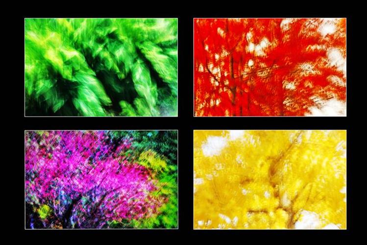 上一页 下一页 作品名称: 四季色彩  作品描述: 慢门晃机拍摄抽象画意