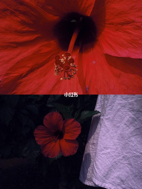 sony rx100卡片数码相机9177样图_索尼怎么样_数码相机_相机_随手