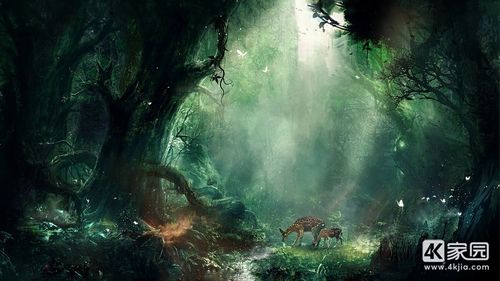 创意简约4k好看的壁纸图片大全下载22张,34.2mb