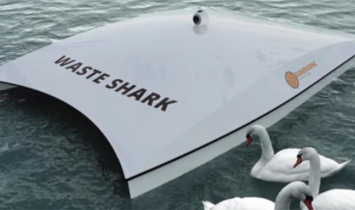 这只鲨鱼「waste shark」不咬人专吃垃圾,每天搜集500公斤