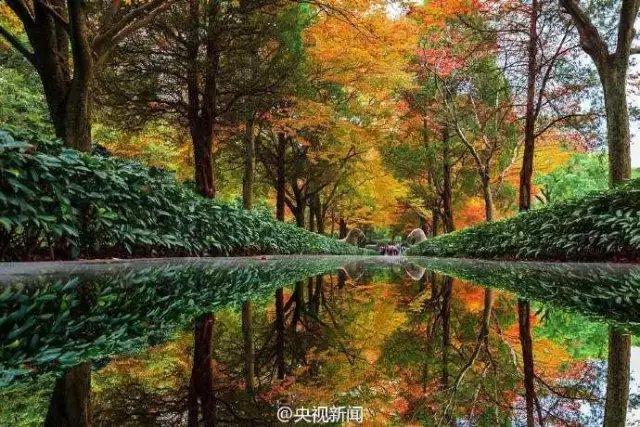 这才是南京秋天最值得去的10个地方