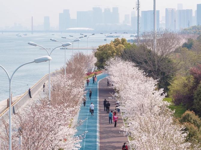 杭州樱花跑道