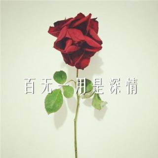 「飘」百无一用是深情 | 晚安集vol.78