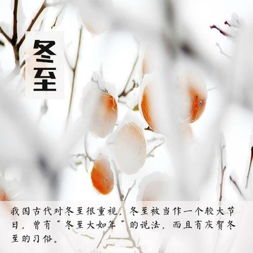 绘冬至"——魏都区实验学校四(6)班萤火虫小队用心感悟冬至 写美篇