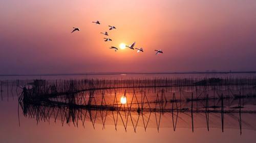 鄱阳湖旅游景区,主要指湖区内的景点及自然保护区整体.