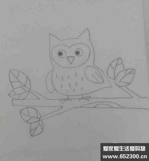 猫头鹰开心简笔画