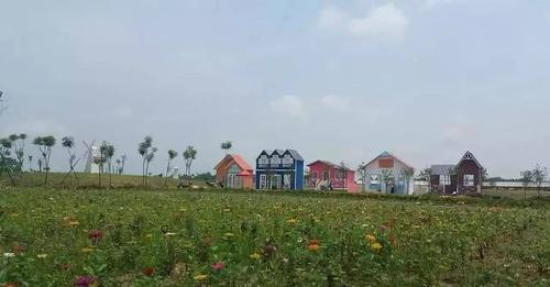 玉林马尔代夫·回家小镇花海景区,巨型卡通迎新年,花雕文化旅游节2月5