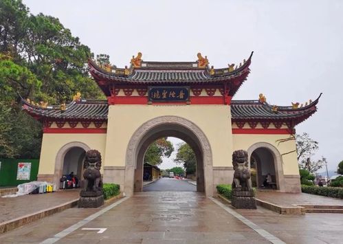 普陀山位于杭州湾以东,舟山群岛的东海海域,岛不大,南北长8.