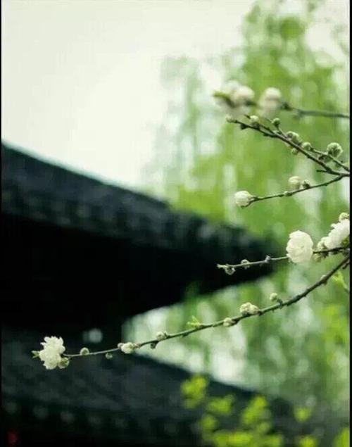 风,悄悄飘过我的发丝.