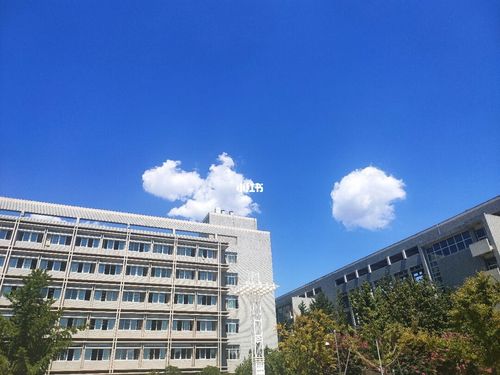 山东农业大学_日落_山东农业大学_出行_传统景点攻略