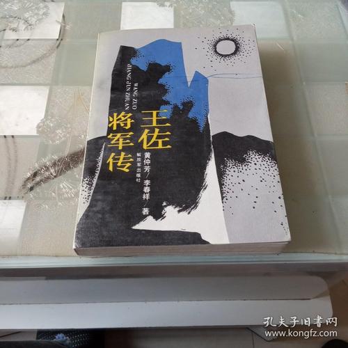 王佐将军传