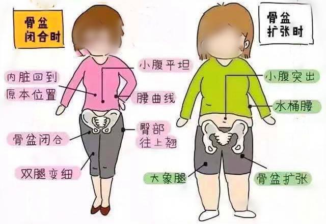 产后修复:产后妈妈是先修复骨盆还是盆底肌?